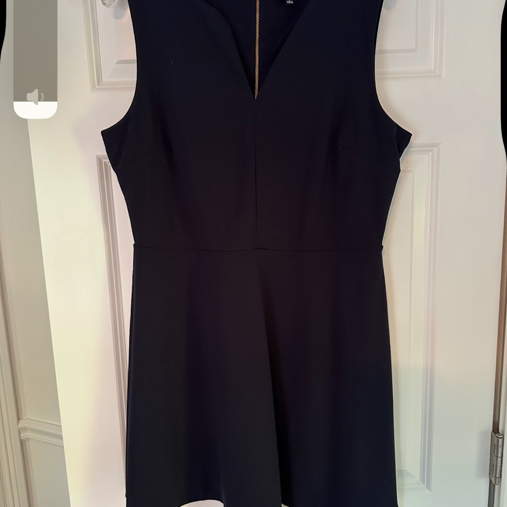 The Limited Blue Sleeveless Dress